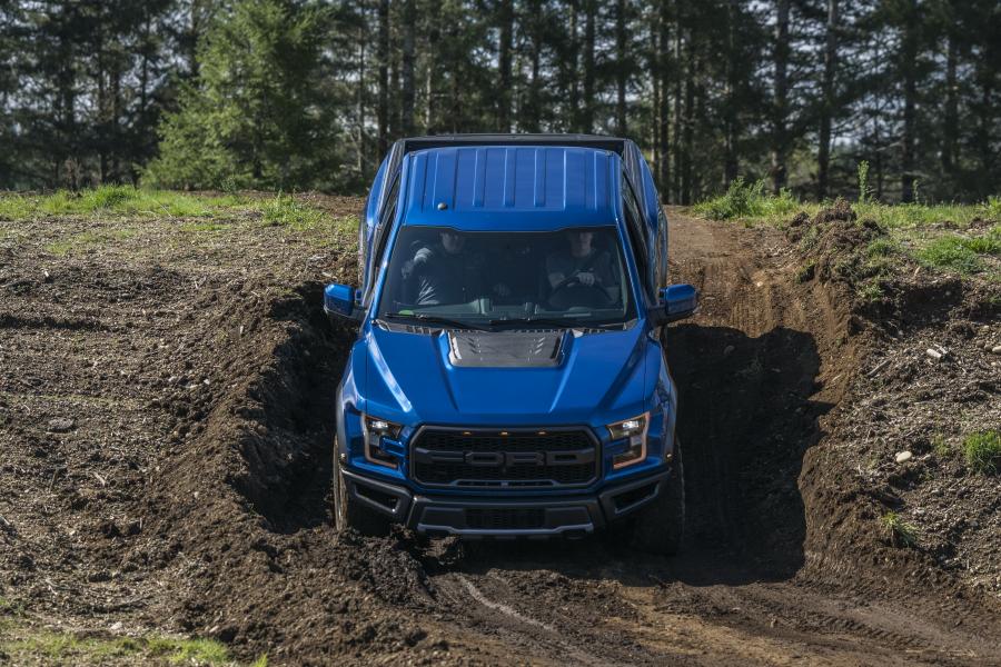  Ford F-150 Raptor 2016 года  (фото 9 из 39)